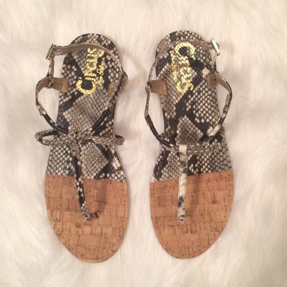Circus by Sam Edelman Shoes - Circus by Sam Edelman snakeskin print sandal